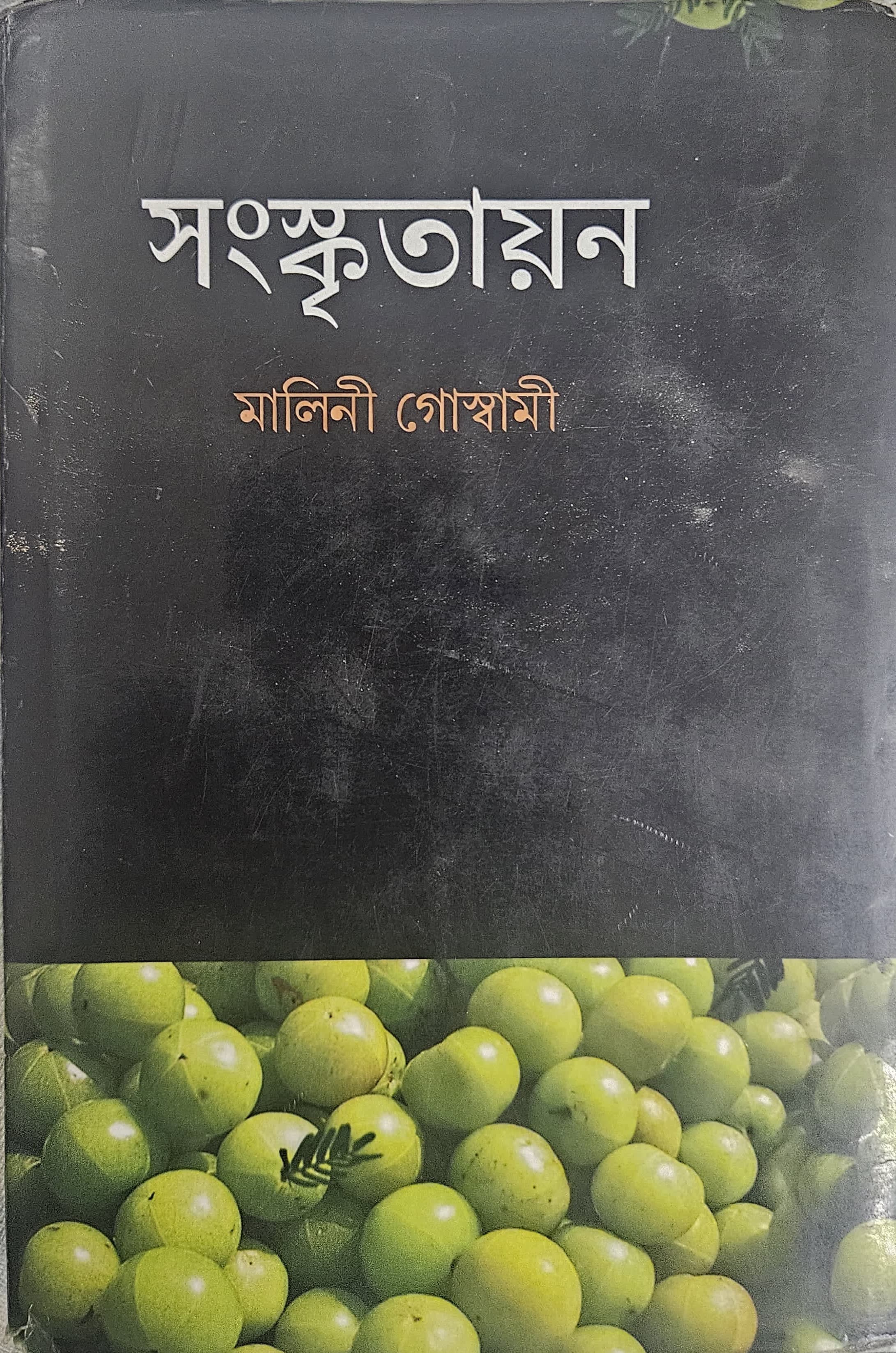 Sanskritaayan cover